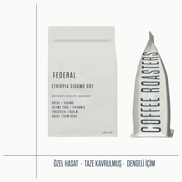 Ethiopia Sidamo GR2